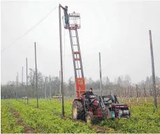  ?? FOTO: UWE JAUSS ?? Michael Hilbrand steuert den Traktor, während Valentin Baumann von der Hopfenkanz­el aus Drähte an den Pfosten befestigt. Beide gehören zum Arbeitstru­pp von Johann Heimpel.