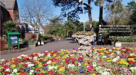  ?? Andrew Brown Media ?? ● Southport’s Botanic Gardens in full bloom and (below) David Rawsthorne