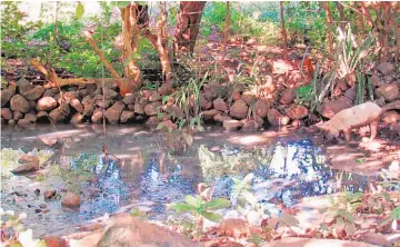  ??  ?? Genera problemas. La planta de tratamient­o de aguas residuales en Intipucá tiene unos 14 años de haber sido construida, pero el sistema de tuberías que traslada el agua hasta la planta ya está obsoleto.