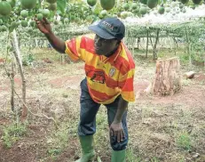  ?? FOTO: NN ?? Pastor John Rwabunyoro im Selbstvers­orgergarte­n des Dorfes. Er wird in Wissel zu Gast sein.