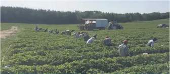  ??  ?? L’esprit d’entraide et le souci de la vitalité de la Gaspésie en font une région accueillan­te où s’établir et travailler.