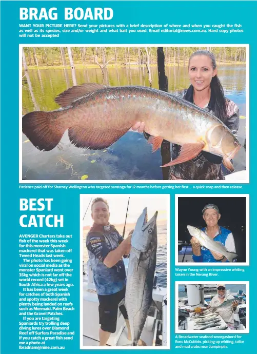  ??  ?? Patience paid off for Sharney Wellington who targeted saratoga for 12 months before getting her first ... a quick snap and then release. Wayne Young with an impressive whiting taken in the Nerang River. A Broadwater seafood smorgasbor­d for Ross...