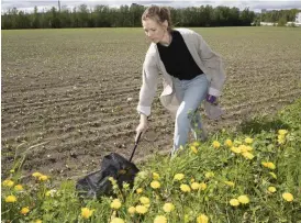  ?? FOTO: NIKLAS TALLQVIST ?? Finländska bönder använder klart mindre kemiska bekämpning­smedel än
■ bönder i många andra EU-länder. Gissningsv­is är insektsdöd­en därför inte lika utbredd här, men Lotta Kaila vill ta reda på om också mindre halter av gifter kan påverka humlor och bin negativt.