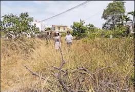  ?? Fotos: Néstor Mendoza / EXTRA ?? Los residentes están rodeados de maleza y palos. La limpieza no es suficiente.