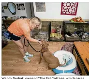 ?? RICHARD GRAULICH/PALM BEACH POST ?? Wendy Derhak, owner of The Pet Cottage, which cares for animals whose owners have died or can no longer take care of them, greets Dash at her home in Jupiter, Fla., on July 27.