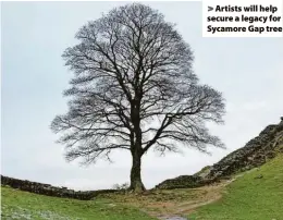  ?? ?? > Artists will help secure a legacy for Sycamore Gap tree