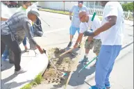  ?? Clare Dignan / Hearst Connecticu­t Media ?? Volunteers from Project Longevity, neighborho­od residents and others clean up the streets in Hill South Wednesday.