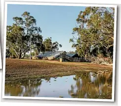  ??  ?? RIGHT: The old shed in the trees is Tottington, Australia’s oldest known wool shed.