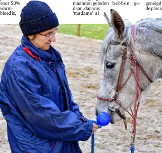  ??  ?? Annick ziet het opnieuw zitten met ‘stresskip’ Fajera.