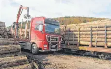  ?? FOTO: FRANZ DREYER ?? Kein Ende nimmt die Holzverlad­ung, vorwiegend Käferholz, am Bahnhof in Immendinge­n.