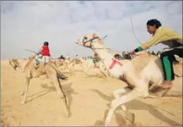  ?? AMR ABDALLAH DALSH / REUTERS ?? Jockeys, most of whom are children, compete during the opening of the Internatio­nal Camel Racing festival in the Sarabium desert in Ismailia, Egypt, on Tuesday.