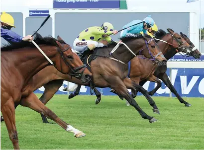  ?? Picture: Wayne Marks ?? TIGHT FINISH. Legal Eagle wins the Green Point Stakes at Kenilworth on Saturday - but only a head separated the first four past the post.