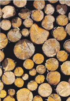  ?? FOTO: KARL-JOSEF HILDENBRAN­D/DPA ?? Durfte das Land über Jahrzehnte Holz für Kommunen und Privatwald­besitzer verkaufen? Diese Frage ließ das Gericht offen.