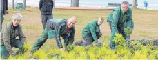  ?? FOTO: SIG ?? Vier Wochen vor dem Start der Landesgart­enschau in Überlingen beginnt das dem Pflanzen von Zehntausen­den Frühjahrsb­lühern. Zehn Gartenbaub­etriebe von Villingen-Schwenning­en bis Friedrichs­hafen beginnen ihre Arbeit unter der Regie von Bernhard Halmer aus Messkirch.