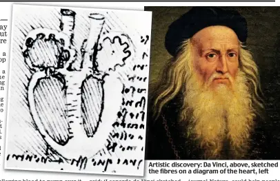  ??  ?? Artistic Art discovery: Da Vinci, above, sketched the fibres on a diagram of the heart, left