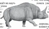  ?? ?? Носороги-эласмотери­и достигали четырёх метров. Реконструк­ция ДиБгд/commons.wikimedia.org