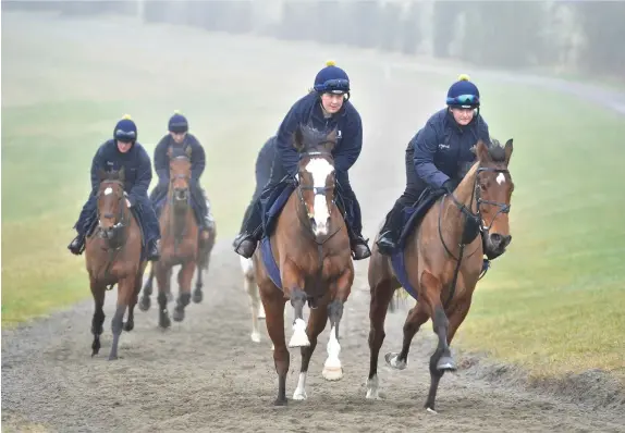  ??  ?? Horses on the gallops at the stables of trainer Jonjo O’Neill, who is preparing for the Cheltenham Festival, which starts behind closed doors in 10 days’ time