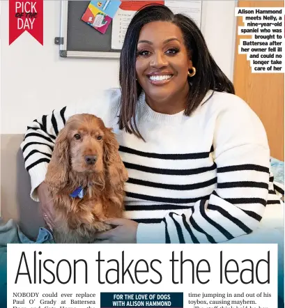  ?? ?? Alison Hammond meets Nelly, a nine-year-old spaniel who was
brought to Battersea after her owner fell ill and could no longer take care of her