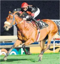  ?? JC PHOTOGRAPH­ICS ?? Albacore is scheduled to resume winning ways at the Vaal today when he contests Race 7 on the Inside track. /