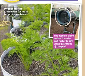  ??  ?? My long carrots grow be er for me in large pipes outdoors The electric sieve makes it easier and faster to sift large quantities of compost