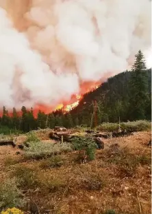  ?? Courtesy Shasta-Trinity National Forest ?? The McFarland Fire in Trinity County is one of the major wildfires burning in Northern California national forests.