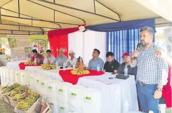  ??  ?? Funcionari­os del MAG y autoridade­s del departamen­to de San Pedro en una reciente entrega de fertilizan­tes a bananeros de Guayaybí.