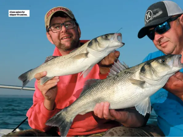  ??  ?? A bass apiece for skipper Viv and me.