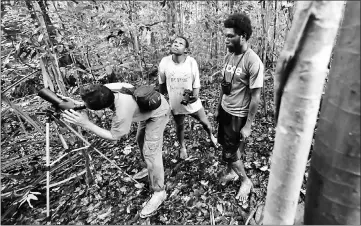  ??  ?? Bird guide Charles Roring (left) and his workers in search of birds-of-paradise, known locally as cendrawasi­h birds, in Sorong’s Malagufuk village. — AFP photos