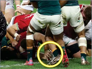  ??  ?? SPOT THE BALL: The match ball is just visible through a forest of Lions and South African legs yesterday as Luke Cowan-Dickie touches down for Gatland’s warriors