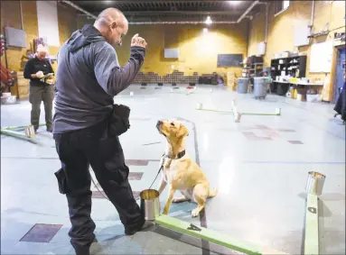  ?? Arnold Gold / Hearst Connecticu­t Media ?? Connecticu­t State Police Detective David Aresco practices an electronic storage detection drill with his police dog, Dora at the Connecticu­t State Police Canine Unit Training Center in Meriden. At left is the instructor, State Trooper Kerry Halligan.
