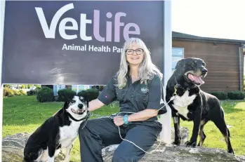  ?? PHOTO: SUPPLIED ?? Helping hard working dogs . . . Dr Lori Linney, of Alexandra, with dogs May (left) and Patti is hoping a new study will help improve the health of working dogs.