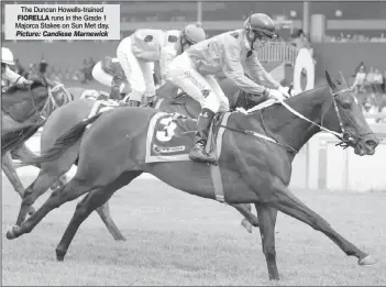  ?? Picture: Candiese Marnewick ?? The Duncan Howells-trained FIORELLA runs in the Grade 1 Majorca Stakes on Sun Met day.