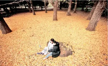  ??  ?? — Reuters photo Tourists from Taiwan take selfie photos among ginkgo leaves at Yoyogi park in Tokyo, Japan.