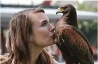  ??  ?? Alyssa Bordonaro gives a kiss to Dany her Harris’s Hawk.