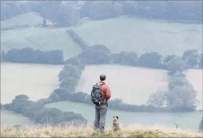  ?? PICTURE: GERARD BINKS. ?? DRY SPELL: Visitors to the North York Moors National Park have been warned about the risk of moorland and forest fires.