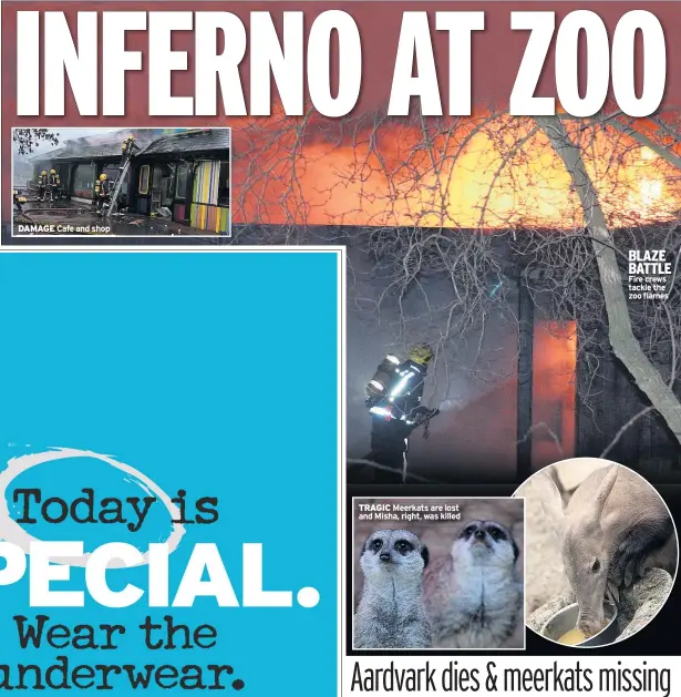  ??  ?? DAMAGE TRAGIC BLAZE BATTLE Fire crews tackle the zoo flames