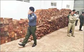  ?? SUPPLIED ?? Authoritie­s inspect a massive haul of 20 tonnes of illegal timber seized in a raid on a warehouse yesterday.