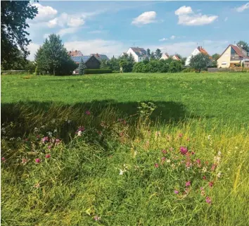  ?? Foto: Berthold Veh ?? Auf dieser Wiese in Unterglauh­eim ist am Montagmitt­ag ein ausgesetzt­er Säugling gefunden worden. Von der Mutter fehlte zunächst jede Spur. Die Polizei fand die 31-Jährige später in Dillingen und nahm sie vorläufig fest.