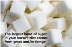  ??  ?? The largest input of sugar in your horse’s diet comes from grass and/or forage