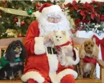  ?? CATHIE COWARD, THE HAMILTON SPECTATOR ?? Have your pet’s photo taken with Santa at the annual Hamilton/Burlington Santa Paws events leading up to Christmas.