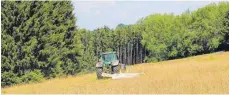  ?? FOTO: LANDSCHAFT­SERHALTUNG­SVERBAND OSTALBKREI­S ?? Diese Wiese besitzt viele reife Obergräser und ist daher schon reif für die Mahd.