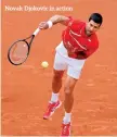  ?? Novak Djokovic in action ??
