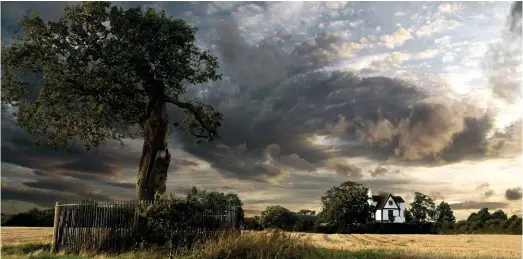  ??  ?? The Royal Oak at Boscobel, Shropshire. This tree is a descendant of the original