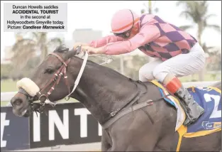  ?? ACCIDENTAL TOURIST ?? Duncan Howells saddles
in the second at Hollywoodb­ets Greyville today. Picture: