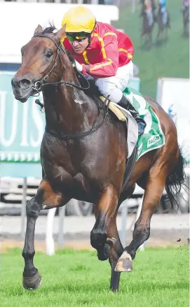  ?? Picture: Grant Peters ?? Nettuno won his first three starts in Queensland.