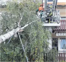  ?? FOTO: THOMAS WARNACK/DPA ?? Umstürzend­e Bäume können schwere Schäden anrichten, nicht nur an Häusern. Baumbesitz­er haften, wenn sie ihrer Sicherungs­pflicht nicht nachgekomm­en sind.