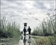  ?? NITIN KANOTRA/HT PHOTO ?? ▪ Border Security Force personnel patrolling the Internatio­nal Border with Pakistan on August 17, 2013