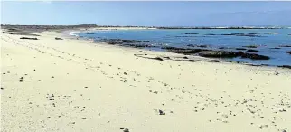  ?? /Nick Yell ?? Blue hues: The pristine shoreline that is part of the Agulhas Rest Camp zone.