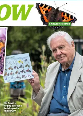  ??  ?? Sir David is urging everyone to take part in the survey Small tortoisesh­ell