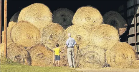  ?? FOTO: DPA ?? Kinder vom Land sind weniger anfällig für Allergien als Stadtkinde­r.